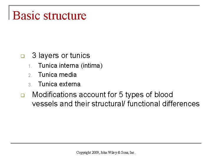 Basic structure 3 layers or tunics q 1. 2. 3. q Tunica interna (intima)