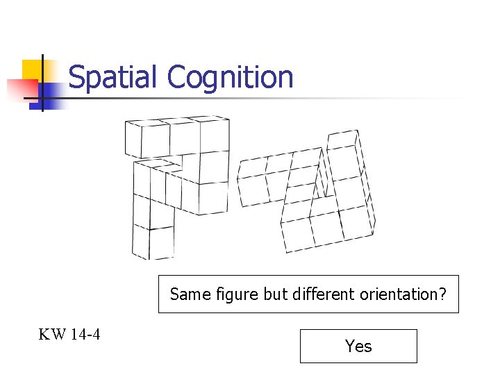 Spatial Cognition Same figure but different orientation? KW 14 -4 Yes 
