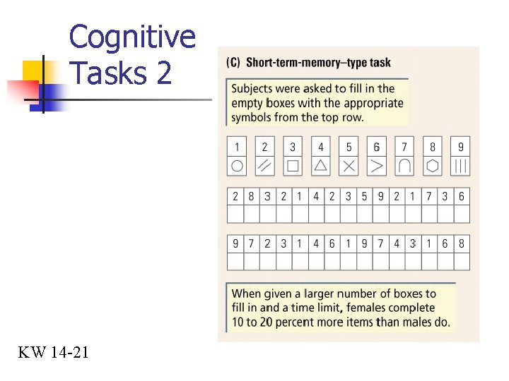 Cognitive Tasks 2 KW 14 -21 