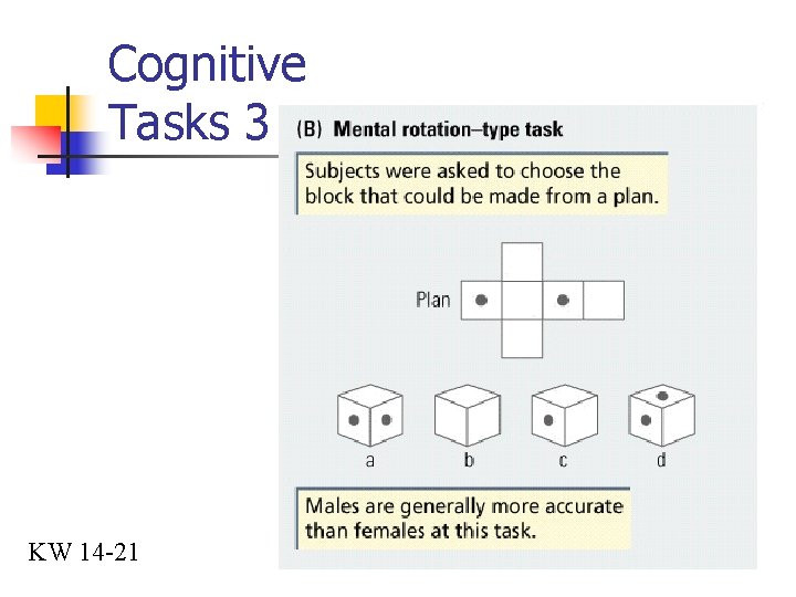 Cognitive Tasks 3 KW 14 -21 