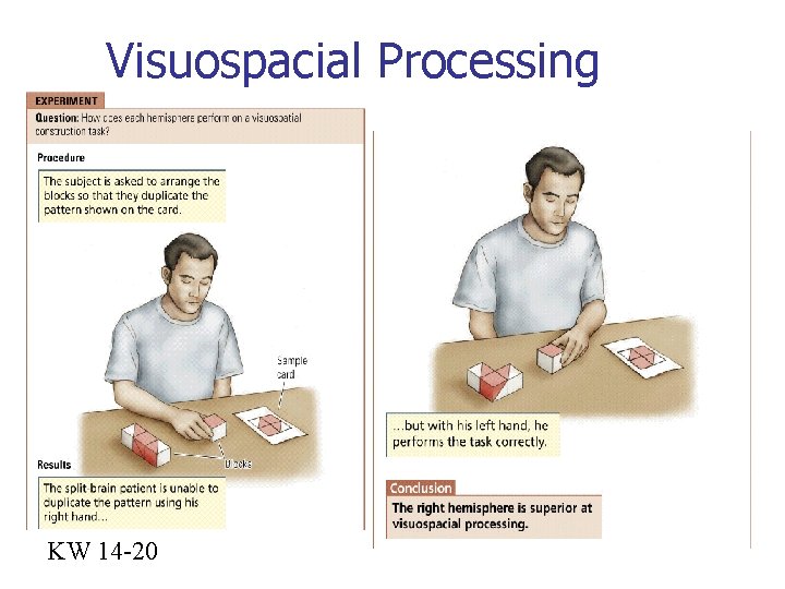 Visuospacial Processing KW 14 -20 