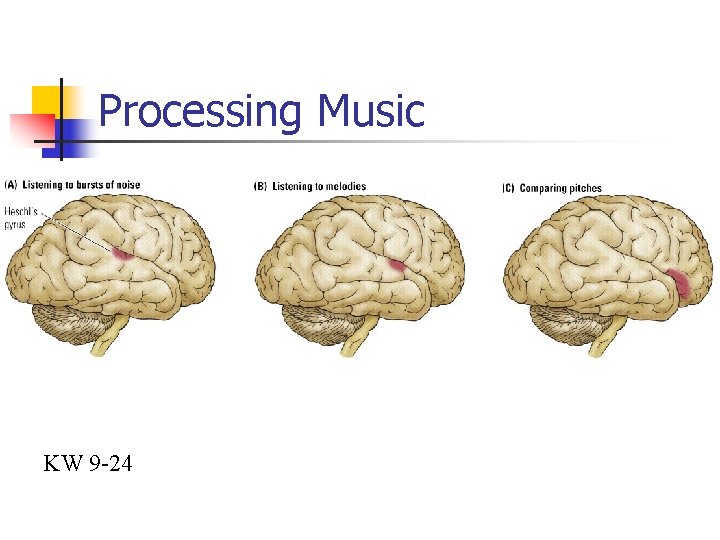 Processing Music KW 9 -24 