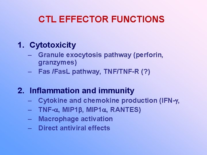 CTL EFFECTOR FUNCTIONS 1. Cytotoxicity – Granule exocytosis pathway (perforin, granzymes) – Fas /Fas.