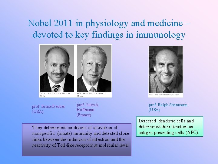 Nobel 2011 in physiology and medicine – devoted to key findings in immunology prof.