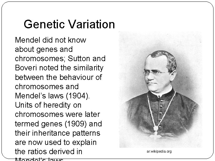 Genetic Variation Mendel did not know about genes and chromosomes; Sutton and Boveri noted