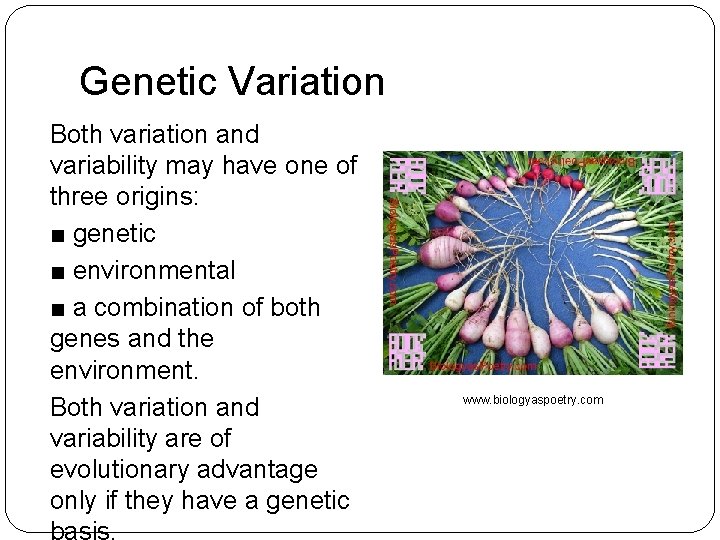 Genetic Variation Both variation and variability may have one of three origins: ■ genetic