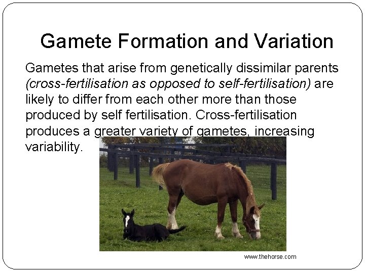 Gamete Formation and Variation Gametes that arise from genetically dissimilar parents (cross-fertilisation as opposed