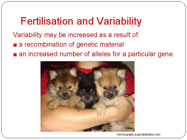 Fertilisation and Variability may be increased as a result of: ■ a recombination of