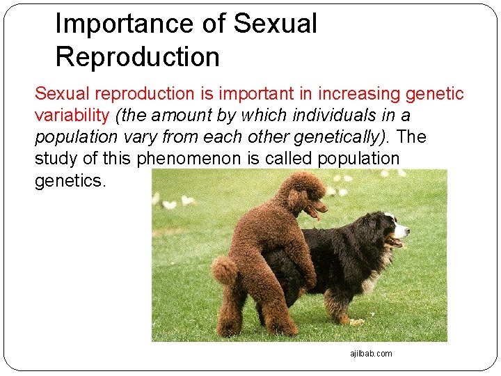 Importance of Sexual Reproduction Sexual reproduction is important in increasing genetic variability (the amount