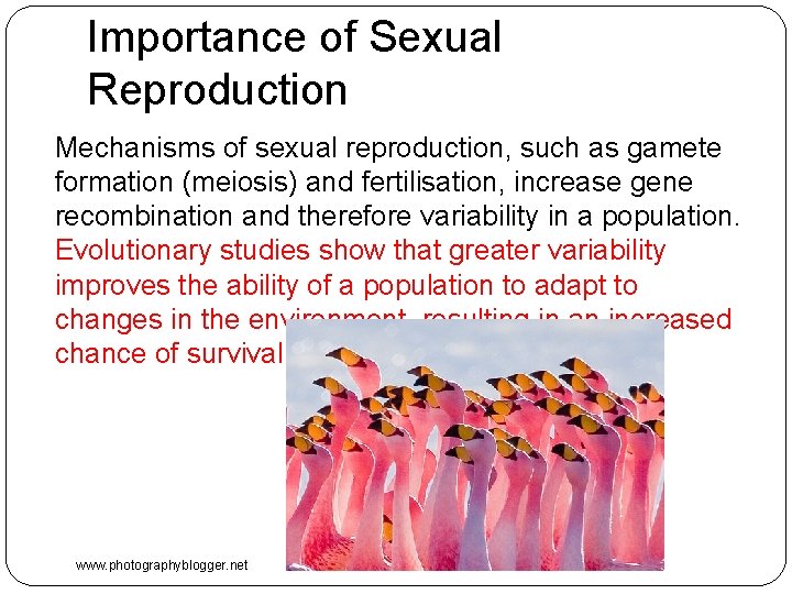 Importance of Sexual Reproduction Mechanisms of sexual reproduction, such as gamete formation (meiosis) and