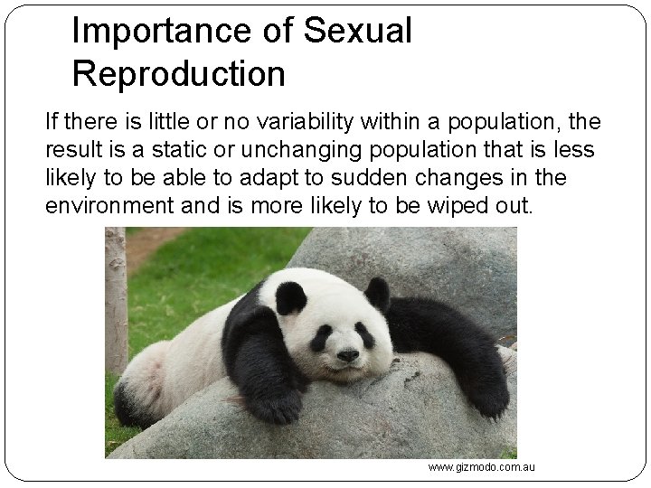 Importance of Sexual Reproduction If there is little or no variability within a population,