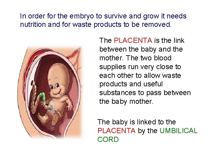 In order for the embryo to survive and grow it needs nutrition and for