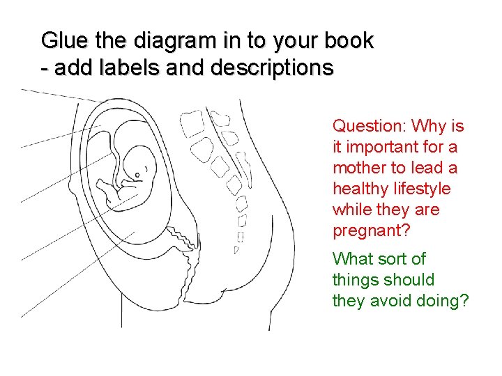 Glue the diagram in to your book - add labels and descriptions Question: Why