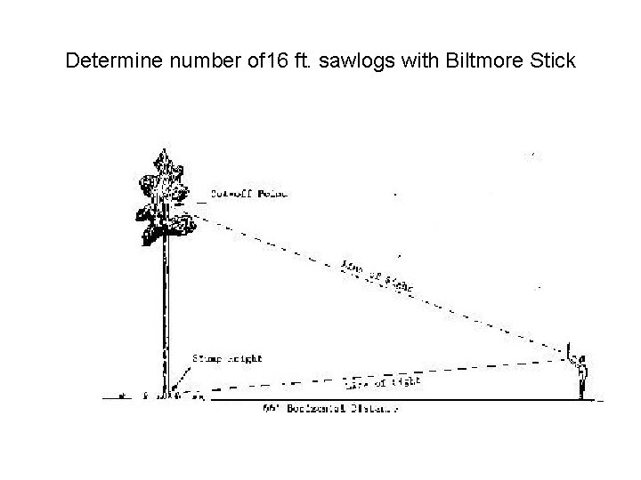 Determine number of 16 ft. sawlogs with Biltmore Stick 