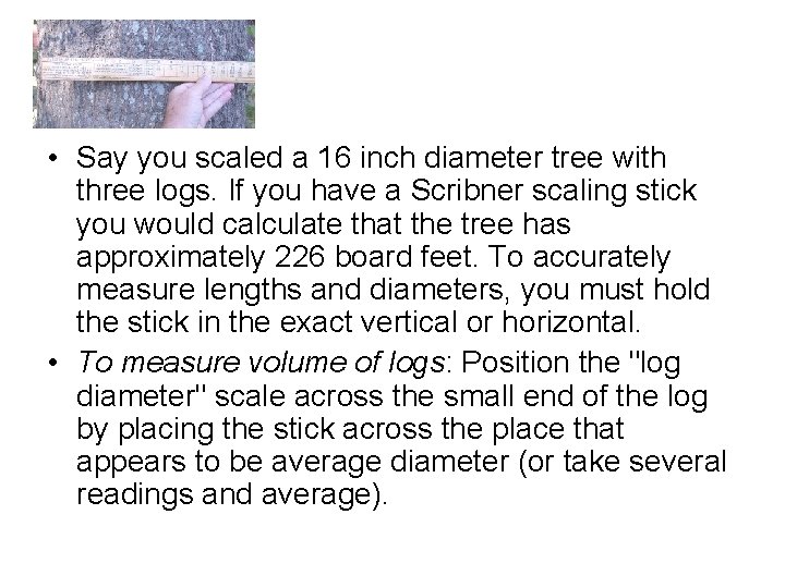 • Say you scaled a 16 inch diameter tree with three logs. If