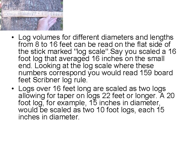  • Log volumes for different diameters and lengths from 8 to 16 feet