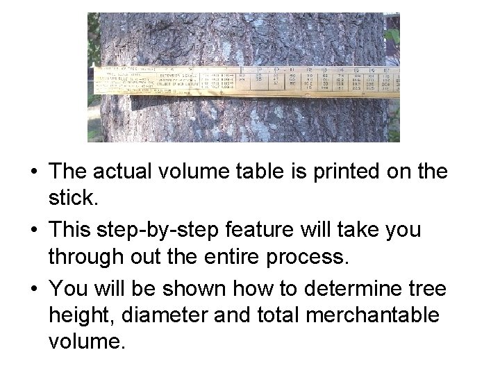  • The actual volume table is printed on the stick. • This step-by-step