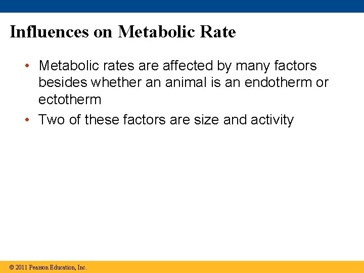 Influences on Metabolic Rate • Metabolic rates are affected by many factors besides whether