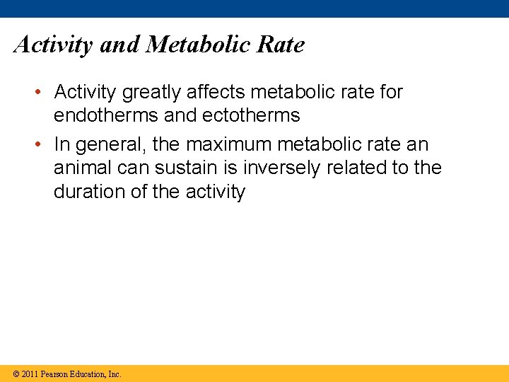 Activity and Metabolic Rate • Activity greatly affects metabolic rate for endotherms and ectotherms