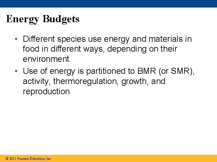 Energy Budgets • Different species use energy and materials in food in different ways,