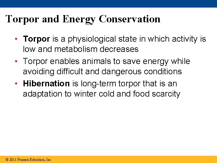 Torpor and Energy Conservation • Torpor is a physiological state in which activity is