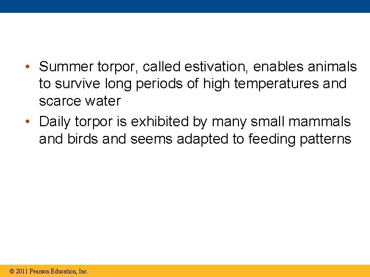  • Summer torpor, called estivation, enables animals to survive long periods of high