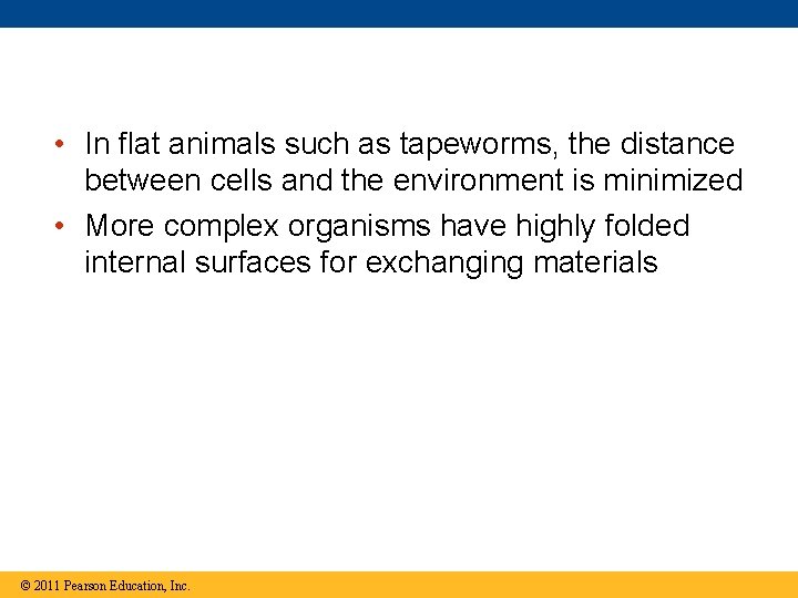  • In flat animals such as tapeworms, the distance between cells and the