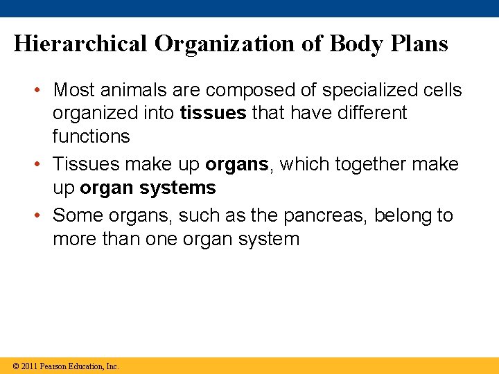 Hierarchical Organization of Body Plans • Most animals are composed of specialized cells organized