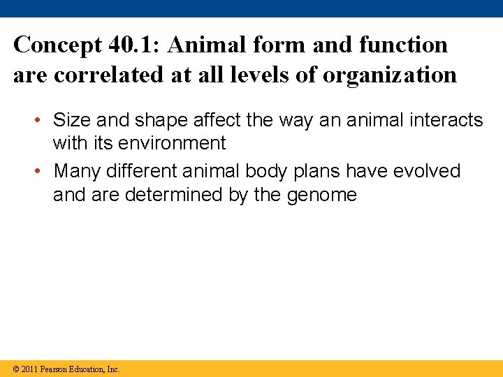 Concept 40. 1: Animal form and function are correlated at all levels of organization