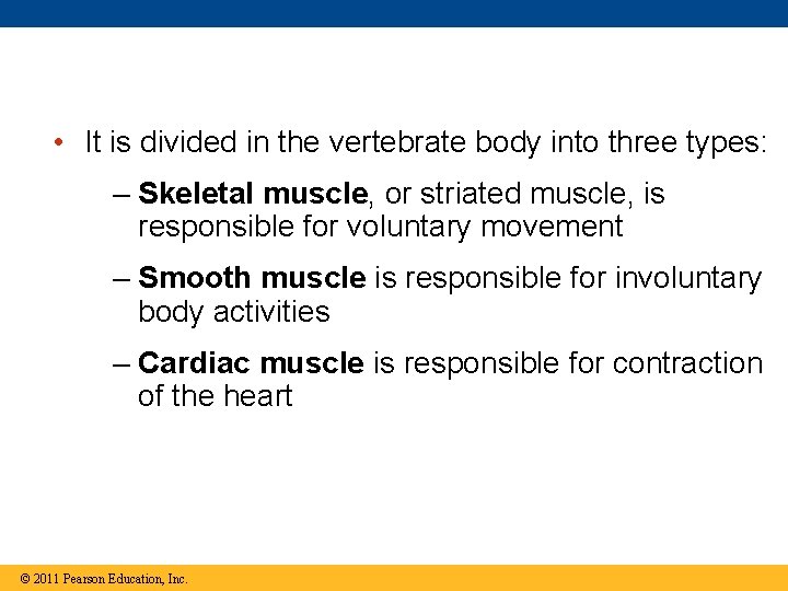  • It is divided in the vertebrate body into three types: – Skeletal