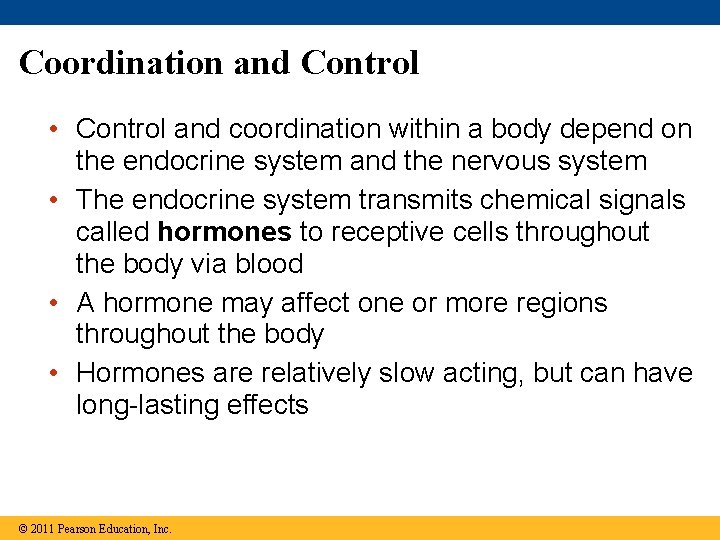 Coordination and Control • Control and coordination within a body depend on the endocrine