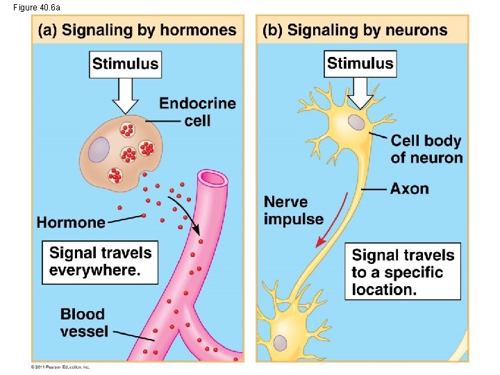 Figure 40. 6 a 