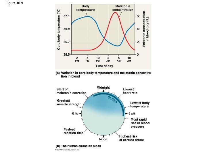 Figure 40. 9 