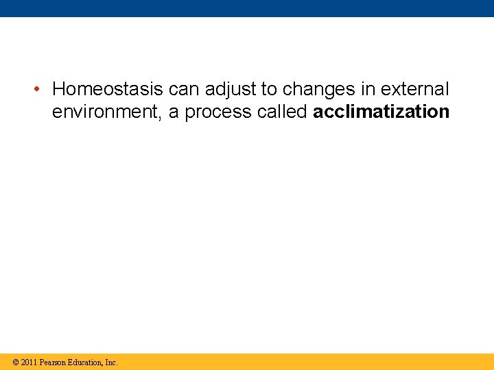  • Homeostasis can adjust to changes in external environment, a process called acclimatization