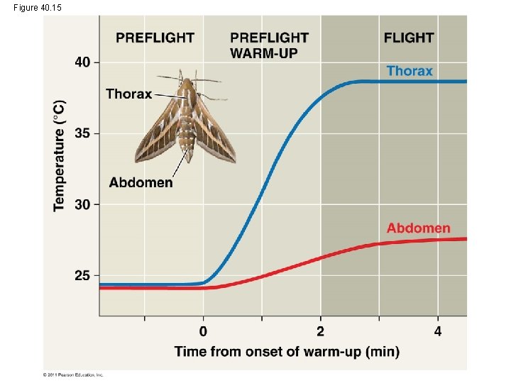 Figure 40. 15 