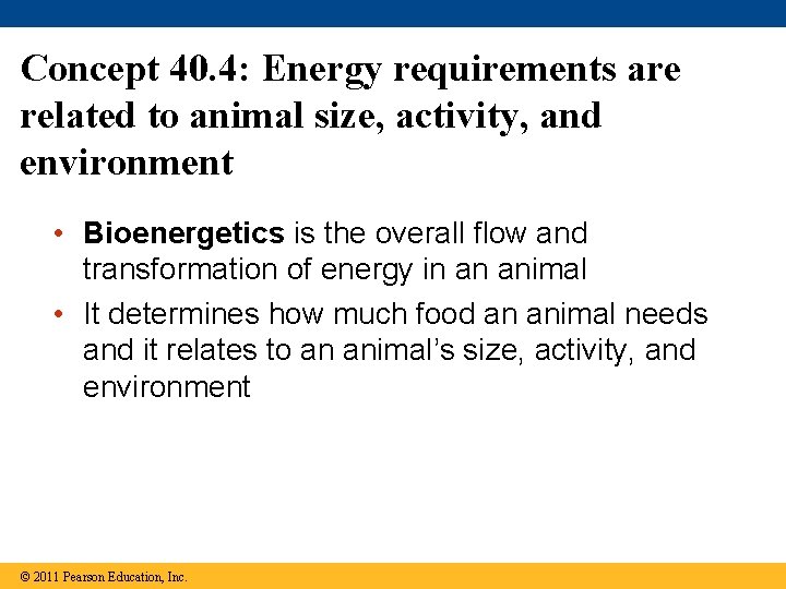 Concept 40. 4: Energy requirements are related to animal size, activity, and environment •