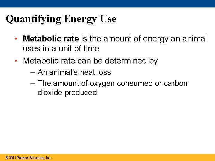 Quantifying Energy Use • Metabolic rate is the amount of energy an animal uses