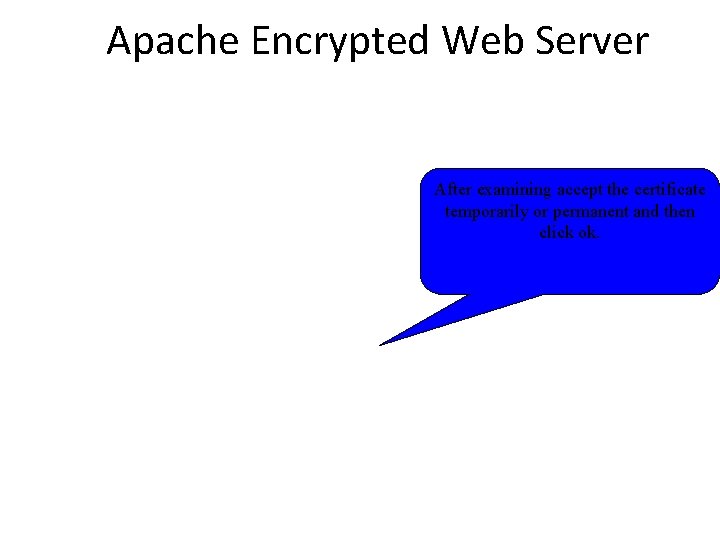Apache Encrypted Web Server After examining accept the certificate temporarily or permanent and then