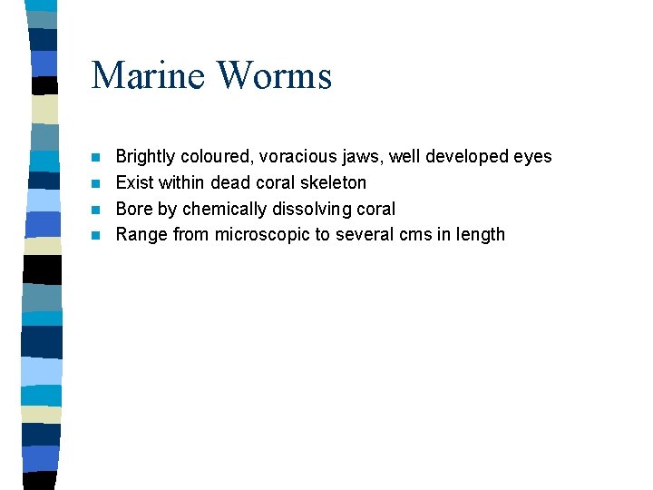 Marine Worms Brightly coloured, voracious jaws, well developed eyes n Exist within dead coral