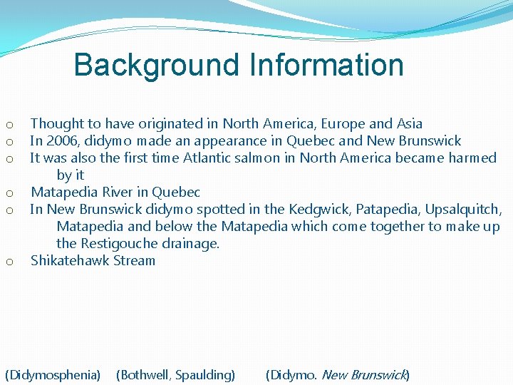 Background Information o o o Thought to have originated in North America, Europe and