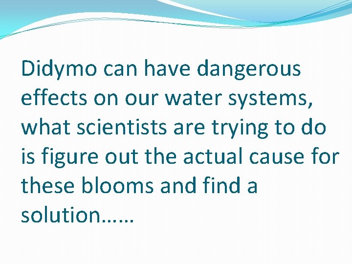 Didymo can have dangerous effects on our water systems, what scientists are trying to