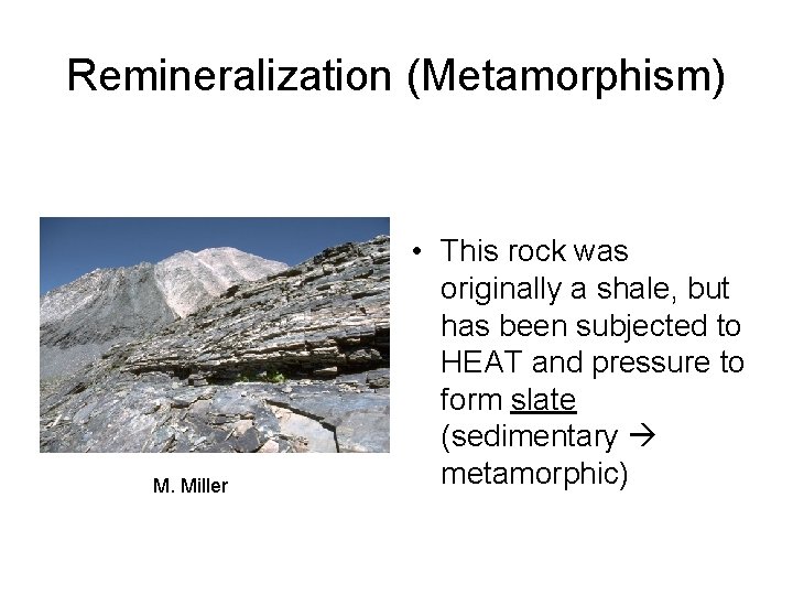Remineralization (Metamorphism) M. Miller • This rock was originally a shale, but has been