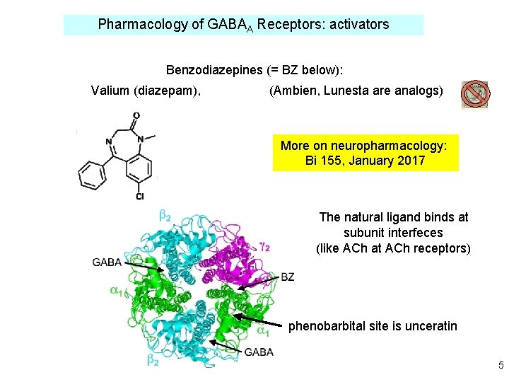 Pharmacology of GABAA Receptors: activators Benzodiazepines (= BZ below): Valium (diazepam), (Ambien, Lunesta are
