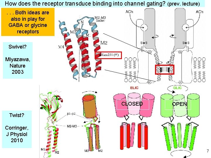 How does the receptor transduce binding into channel gating? (prev. lecture). . . Both