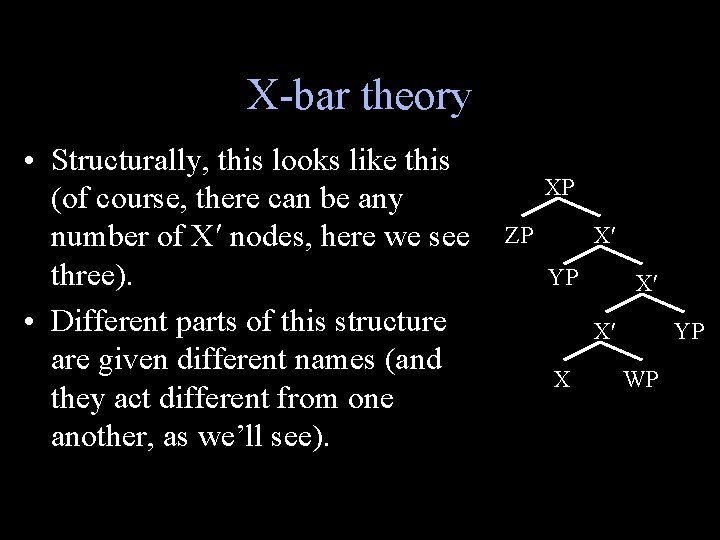 X-bar theory • Structurally, this looks like this (of course, there can be any