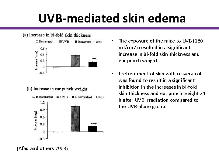 UVB-mediated skin edema • The exposure of the mice to UVB (180 m. J/cm