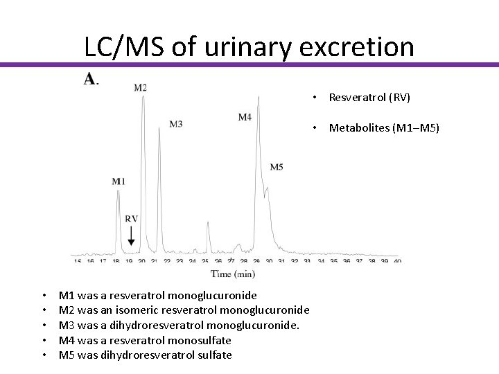 LC/MS of urinary excretion • Resveratrol (RV) • Metabolites (M 1–M 5) • •