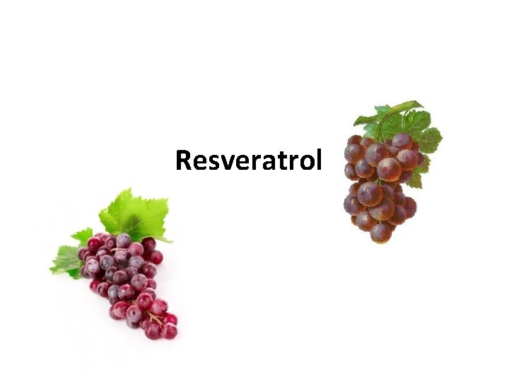 Resveratrol 