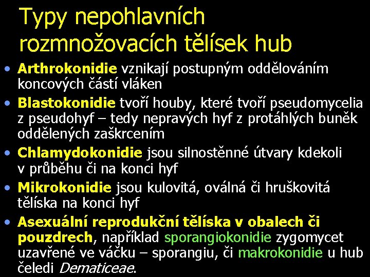 Typy nepohlavních rozmnožovacích tělísek hub • Arthrokonidie vznikají postupným oddělováním koncových částí vláken •