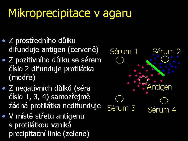 Mikroprecipitace v agaru • Z prostředního důlku difunduje antigen (červeně) • Z pozitivního důlku